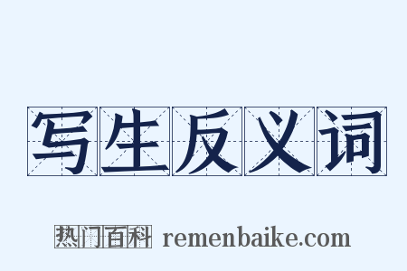 写生反义词是什么意思的图片